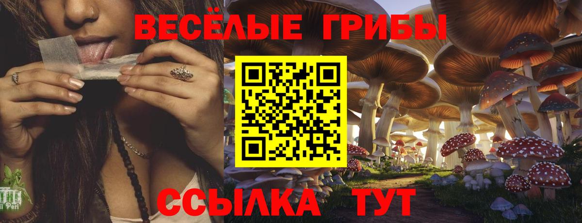 цены   Галлюциногенные грибы мицелий  Псилоцибиновые грибы ЛСД  Вход с VPN  Топки 